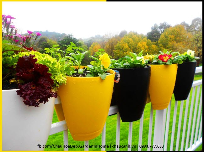 Chậu hoa Greenbo được thiết kế đặc biệt với nhiều màu sắc