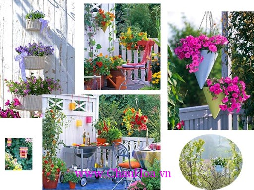 Địa chỉ bán chậu nhựa trồng hoa đẹp, thiết kết thông minh cho mọi nhà