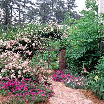 Trang trí Cổng vườn phong phú cùng cây xanh bonsai