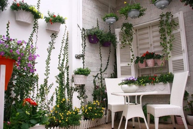 Mua chậu trồng hoa có gắn dây treo cũng sẽ là ý tưởng hoàn hảo cho nhà phố