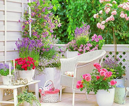 Lựa chọn chậu trồng hoa đẹp trang trí cho khu vườn
