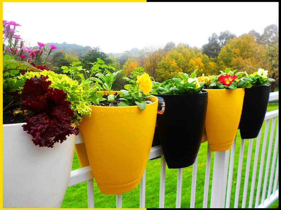 Chậu hoa treo lan can Garden in Home mang thiên nhiên vào nhà theo cách riêng của bạn