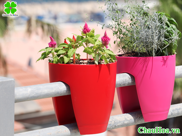 Chậu hoa treo lan can Greenbo màu Đỏ tạo nên sự khác biệt và cá tính