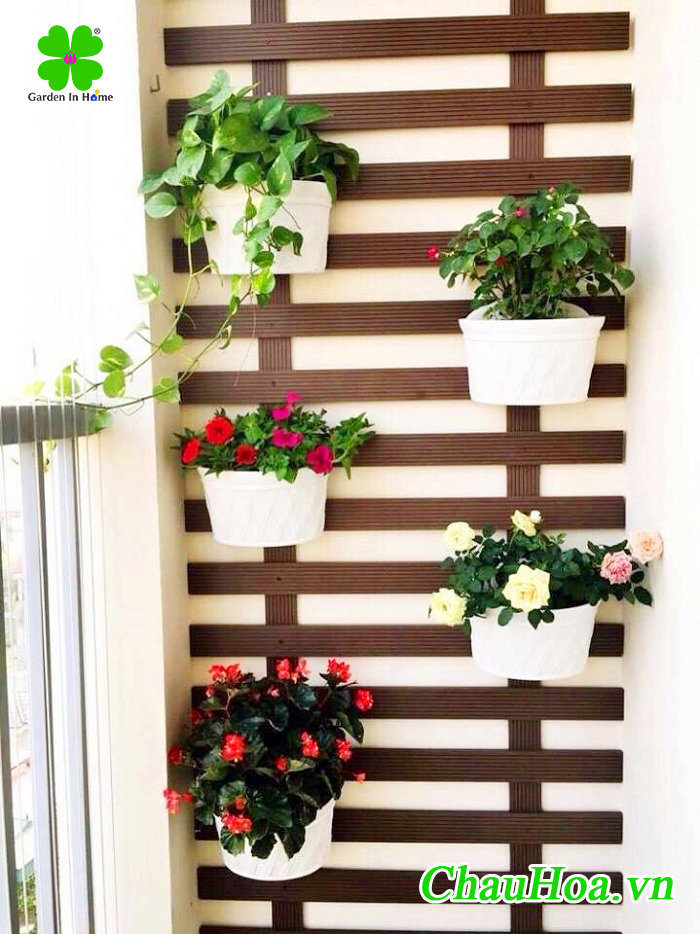 Chậu hoa treo tường dễ dàng trang trí với hoa dạ yến thảo hay các loại hoa khác mà bạn yêu thích
