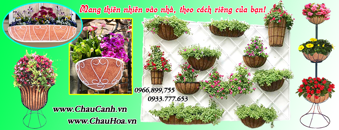 ChauHoa.vn là địa chỉ bán chậu hoa đẹp