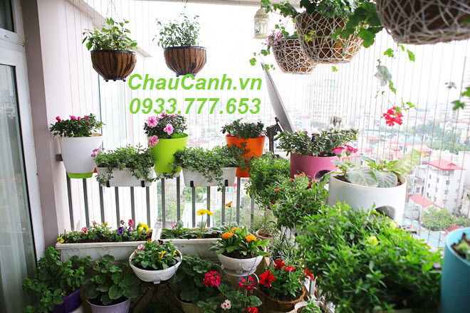 ChauHoa.vn cung cấp địa chỉ mua chậu trồng hoa ở đâu đẹp?
