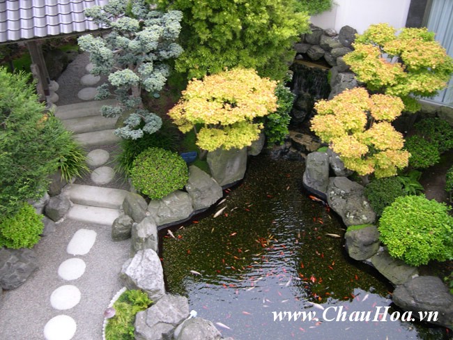 cây xanh bonsai đẹp giúp sân vườn thêm lãng mạn