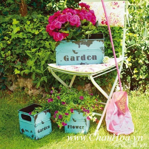 chậu hoa đẹp bằng chiếc ghế cũ cho sân vườn thêm sinh động