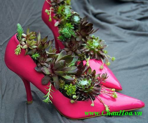 Chậu hoa đẹp bằng giày cao gót nữ tính