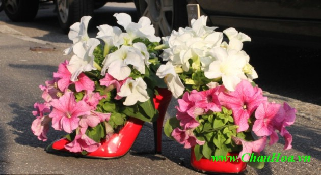 chậu  hoa đẹp nữ tính bằng giầy cao gót