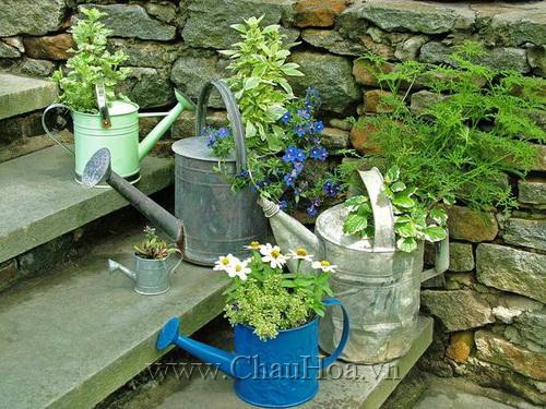 Làm mát sân vườn với chậu hoa bằng thùng nước