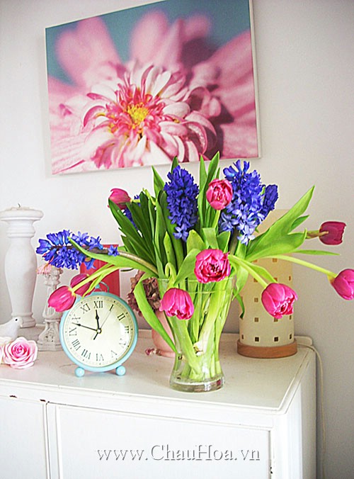 Chậu hoa đẹp cho không gian nhà bạn thêm hoàn hảo