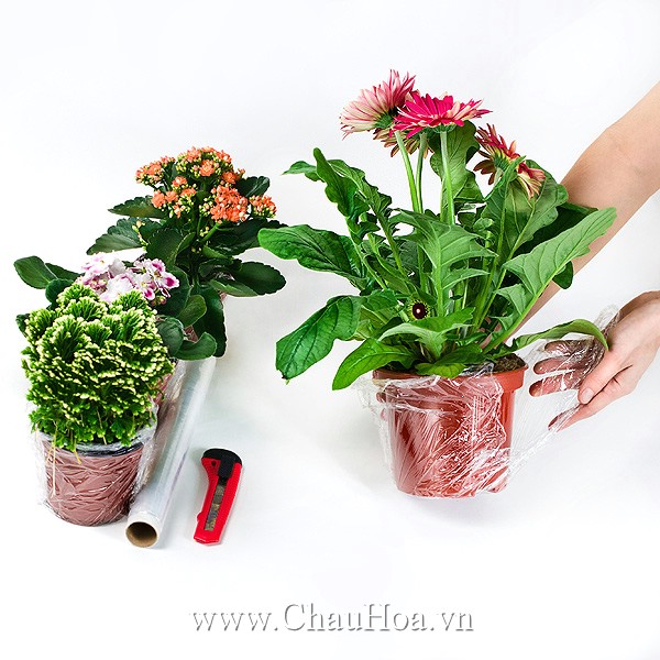 Các nguyên vật liệu cần chuẩn bị dể trang trí chậu trồng hoa đẹp 